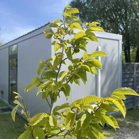 Surf Osada, Komfortowe W Kameralnej Okolicy Nad Samym Brzegiem Zatoki Puckiej Swarzewo
